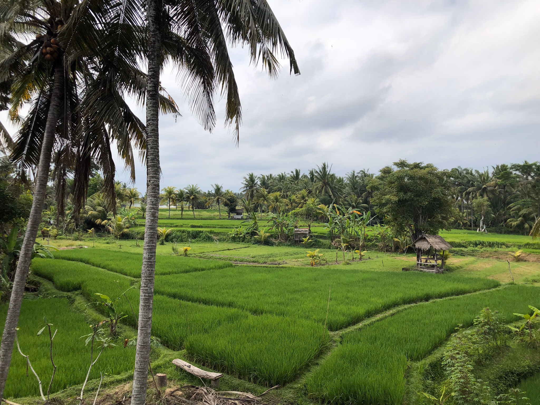 Bali
